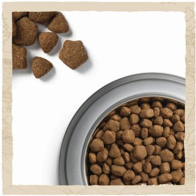 Сухой корм для собак Purina Dog Chow Adult Lamb со вкусом ягненка 14 кг (7613034487636)