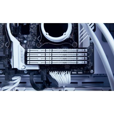 Модуль памяти для компьютера DDR5 64GB (2x32GB) 5600 MHz Beast White EXPO Kingston Fury (ex.HyperX) (KF556C36BWEK2-64)