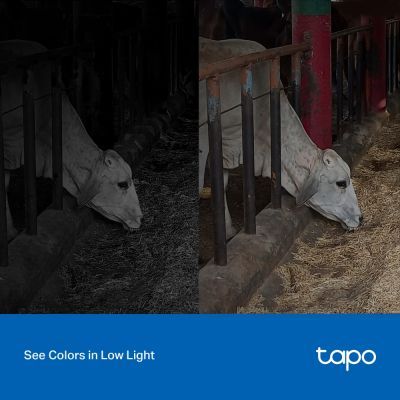 Камера видеонаблюдения TP-Link (TAPO-C320WS)