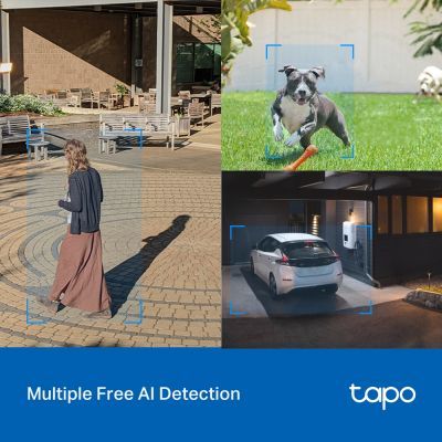 Камера відеоспостереження TP-Link (TAPO-C520WS)