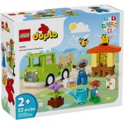 Конструктор LEGO DUPLO Town Уход за пчелами и ульями 22 деталей (10419)