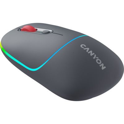 Мышка Canyon MW-22 Dual Band RGB Wireless Dark Grey (CNS-CMSW22DG)