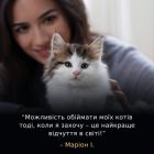 Сухий корм для кішок Purina Pro Plan LiveClear для зменшення алергенів на шерсті з індичкою 1.4 к (7613287232526)