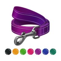Поводок для собак WAUDOG Nylon Mono, светоотражающий M фиолетовый (52189)