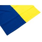 Флаг Vinga Украина, государсвенный, 90*140см (VFUSDB140G)