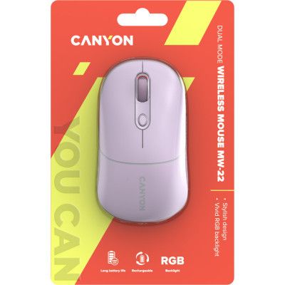 Мышка Canyon MW-22 Dual Band RGB Wireless Pearl Rose (CNS-CMSW22PR)