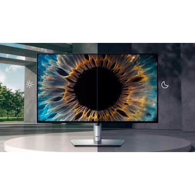 Монитор Dell U2424HE (210-BKJF)