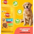 Сухой корм для собак Pedigree с говядиной и овощами 12 кг (5998749145043)