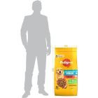 Сухой корм для собак Pedigree с говядиной и овощами 12 кг (5998749145043)