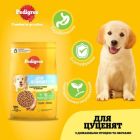 Сухий корм для собак Pedigree для цуценят з птицею та овочами 500 г (5998749144923)