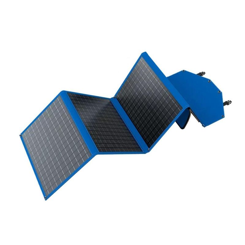 Портативна сонячна панель Canyon (CND-SP100W)