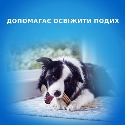 Лакомство для собак Purina DentaLife Small Для поддержания здоровья полости рта 115 г (8445291614550)