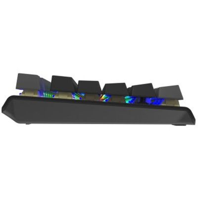 Клавіатура A4Tech FS100 RGB FS Switch USB Stone Black (4711421000567)