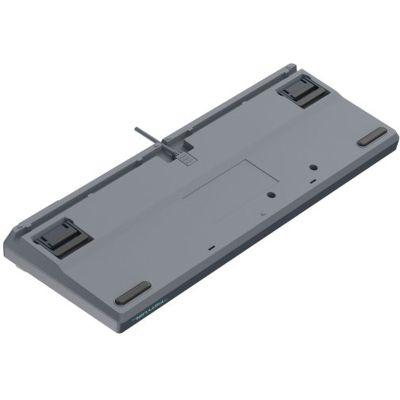 Клавіатура A4Tech FS300 FS Switches USB Panda Rock Climbin (4711421000444)