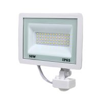 Прожектор Lightwell (LW-FL-W-50-S 50 W з датчиком руху)