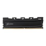 Модуль памяти для компьютера DDR5 16GB 6400 MHz Black Kudos eXceleram (EK50160643039C)