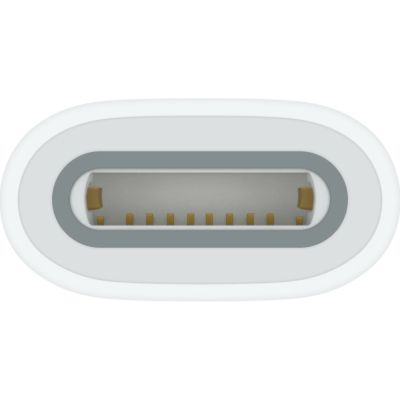 Адаптер Apple USB-C to Apple Pencil Adapter (MWML3ZM/A)