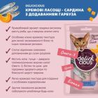 Лакомство для котов Delickcious Сардина с добавлением тыквы 4 х 15 г (4820269141636)