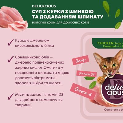 Влажный корм для кошек Delickcious Суп из курицы с ветчиной и добавлением шпината 80 г (4820269141599)