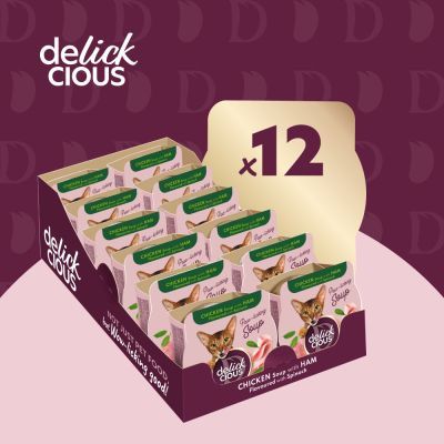 Влажный корм для кошек Delickcious Суп из курицы с ветчиной и добавлением шпината 80 г (4820269141599)
