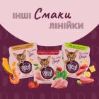Влажный корм для кошек Delickcious Суп из курицы с ветчиной и добавлением шпината 80 г (4820269141599)