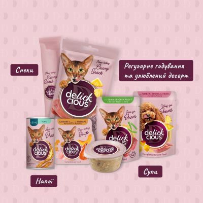 Влажный корм для кошек Delickcious Суп из сардины с креветками и добавлением тыквы 80 г (4820269141568)