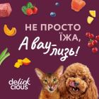 Вологий корм для кішок Delickcious Суп з сардини з креветками та додаванням гарбуза 80 г (4820269141568)
