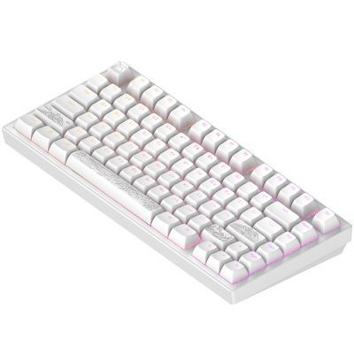 Клавіатура Dark Project ALU81 Terra Nostra PBT RGB Mech G3MS Moonstone White (DPKB_NOSTRA_81_ANSI_WHITE_UA)