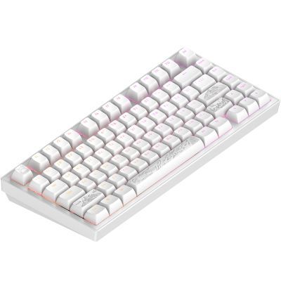 Клавіатура Dark Project ALU81 Terra Nostra PBT RGB Mech G3MS Moonstone White (DPKB_NOSTRA_81_ANSI_WHITE_UA)