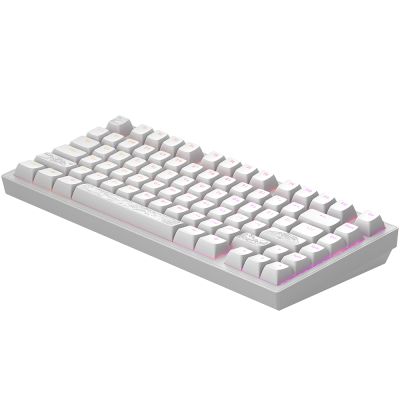 Клавіатура Dark Project ALU81 Terra Nostra PBT RGB Mech G3MS Moonstone White (DPKB_NOSTRA_81_ANSI_WHITE_UA)