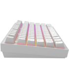 Клавіатура Dark Project ALU81 Terra Nostra PBT RGB Mech G3MS Moonstone White (DPKB_NOSTRA_81_ANSI_WHITE_UA)