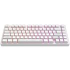 Клавіатура Dark Project ALU81 Terra Nostra PBT RGB Mech G3MS Moonstone White (DPKB_NOSTRA_81_ANSI_WHITE_UA)