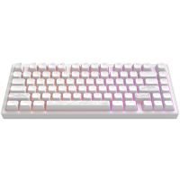 Клавіатура Dark Project ALU81 Terra Nostra PBT RGB Mech G3MS Moonstone White (DPKB_NOSTRA_81_ANSI_WHITE_UA)