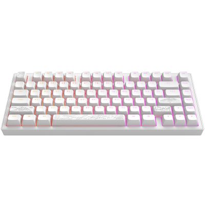 Клавіатура Dark Project ALU81 Terra Nostra PBT RGB Mech G3MS Moonstone White (DPKB_NOSTRA_81_ANSI_WHITE_UA)