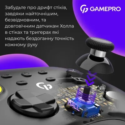 Геймпад GamePro (GPX13B) 2.4G/BT 5.1/USB/PC/iOS/Android RGB Black (GPX13B)