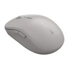 Мишка Canyon MW-12 Wireless/Bluetooth Grey (CNS-CMSW12DG)
