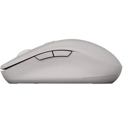 Мишка Canyon MW-12 Wireless/Bluetooth Grey (CNS-CMSW12DG)