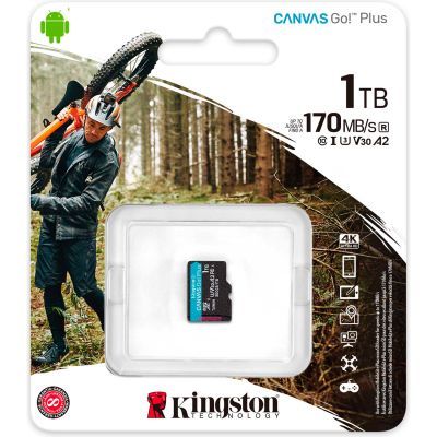 Карта пам\'яті Kingston 1TB microSDXC сlass 10 UHS-I U3 V30 A2 Canvas Go Plus G4 (SDCG4/1TBSP)