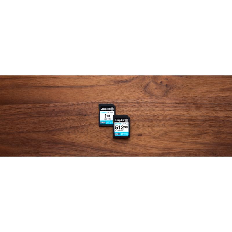 Карта памяти Kingston 64GB SDXC сlass 10 UHS-I U3 V30 Canvas Go Plus G4 (SDG4/64GB)