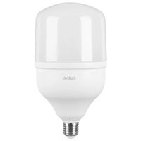 Лампочка Vestum LED T120 40W 6500K 220V E27 (1-VS-1609)