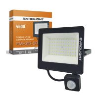 Прожектор EVROLIGHT (FM-01D-50 50W 6400К)