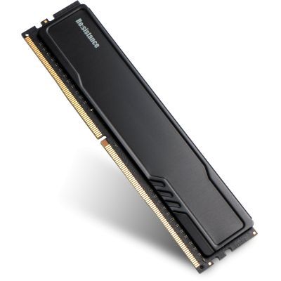 Модуль пам\'яті для комп\'ютера DDR4 8GB 3200 MHz CL22 1.2V Resistance INTELIGENTES (IR4DHE1/8)