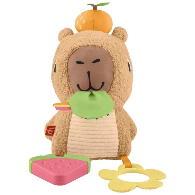 Развивающая игрушка Fisher-Price Капибара (HYR54)