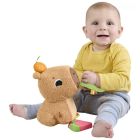Развивающая игрушка Fisher-Price Капибара (HYR54)