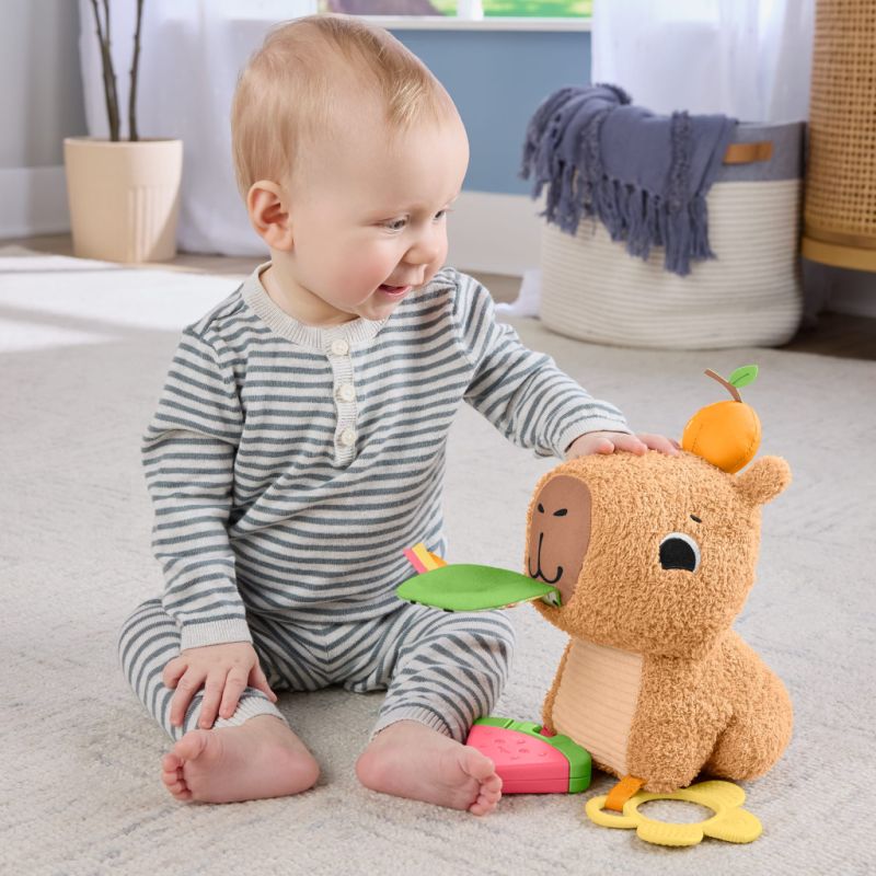 Развивающая игрушка Fisher-Price Капибара (HYR54)