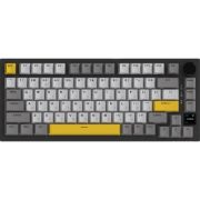 Клавиатура Ajazz AK820 Pro Flying Fish Switch Black RGB USB/Wireless/Bluetooth UA Black (AK820PRO-FF-BGY)
