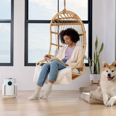 Очисник повітря Shark NeverChange5 Air Purifier Compact Pro (HP072EU)