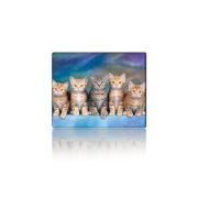 Коврик для мышки Voltronic Five Cats (YT-CAT30)