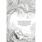 Книга Дівчинка на ім'я Віллоу. Книга 2: Шепіт лісу - Забіне Больман BookChef (9786175484326)