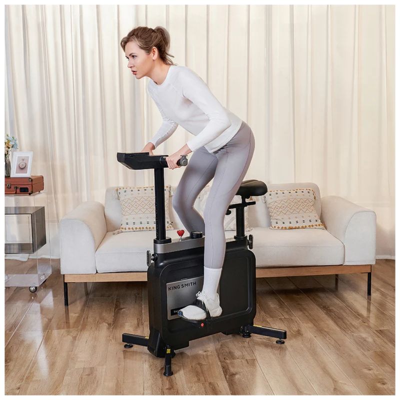 Велотренажер Kingsmith Workstation Bike (W1B)